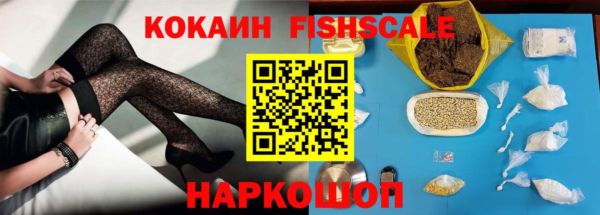 Кокаин Fish Scale  Cocaine  Выборг  COCAIN 97%  Вход с VPN 