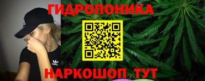 дурь Бийск