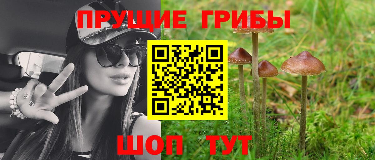 Галлюциногенные грибы MAGIC MUSHROOMS Выборг